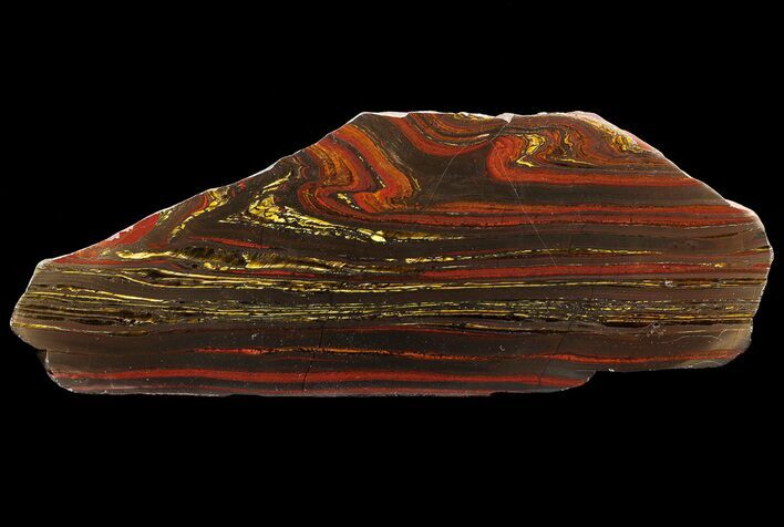 Polished Tiger Iron Stromatolite - ( Billion Years) #65243